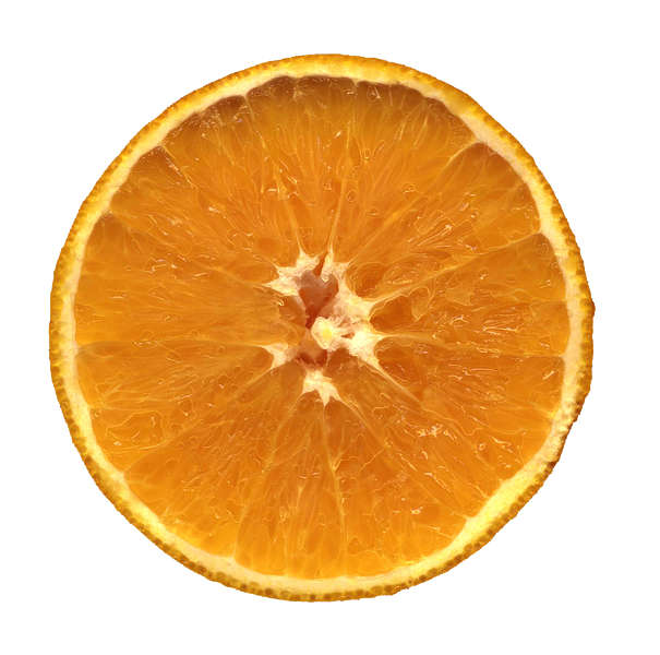 Fruit0043 - Free Background Texture - fruit sliced orange half yellow