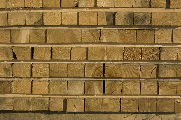 WoodEnds0061 - Free Background Texture - wood end stack yellow brown ...