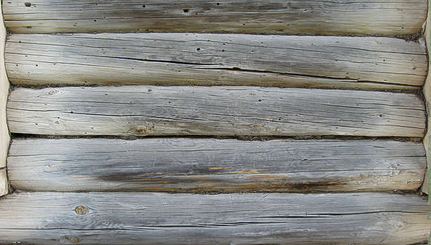 Wood logs texture 17406