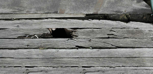 wood texture floor download Texture  wood Free  WoodPlanksFloors0001 Background