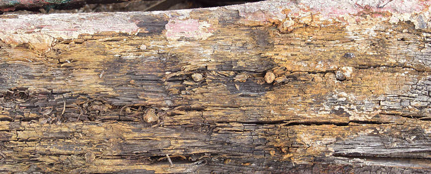 Rough Wood Planks (Texture)