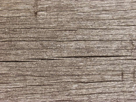 dark rough wood texture