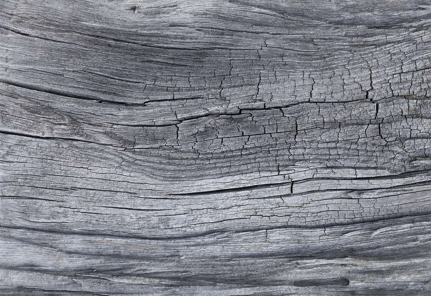 WoodRough0113 - Free Background Texture - wood rough light gray grey