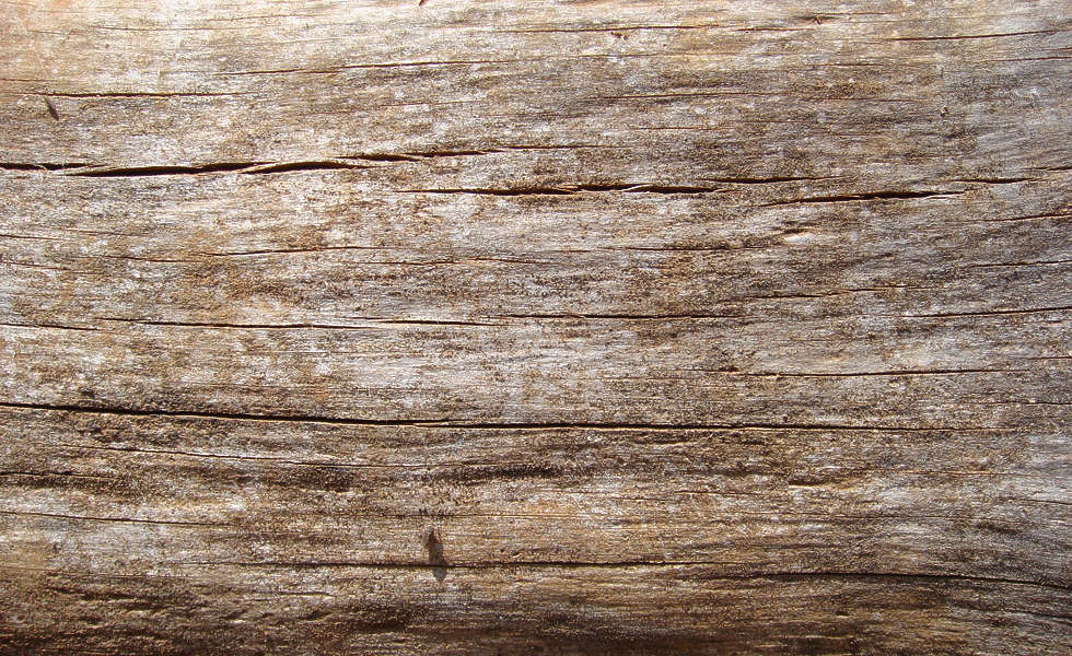 Barkstripped0027 - Free Background Texture - Wood Smooth Bare Brown Beige